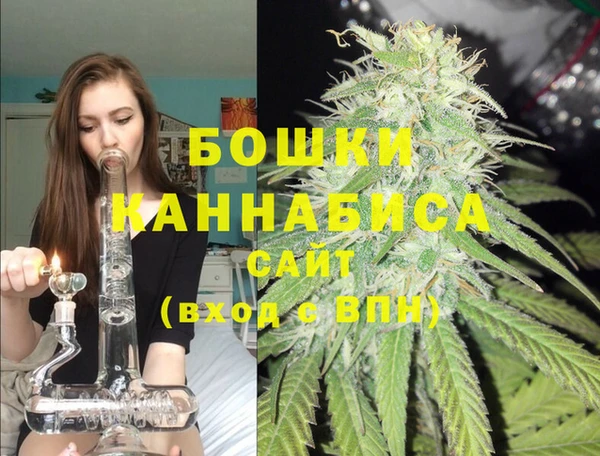 мет Арсеньев